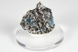 Blue Kyanite & Garnet in Biotite-Quartz Schist - Russia #178930-1